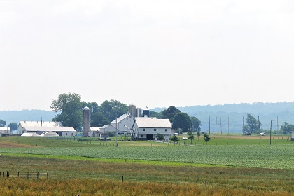 Amish Farms